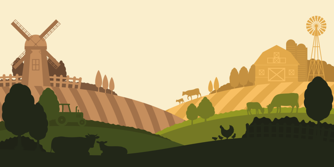 Farm illustration