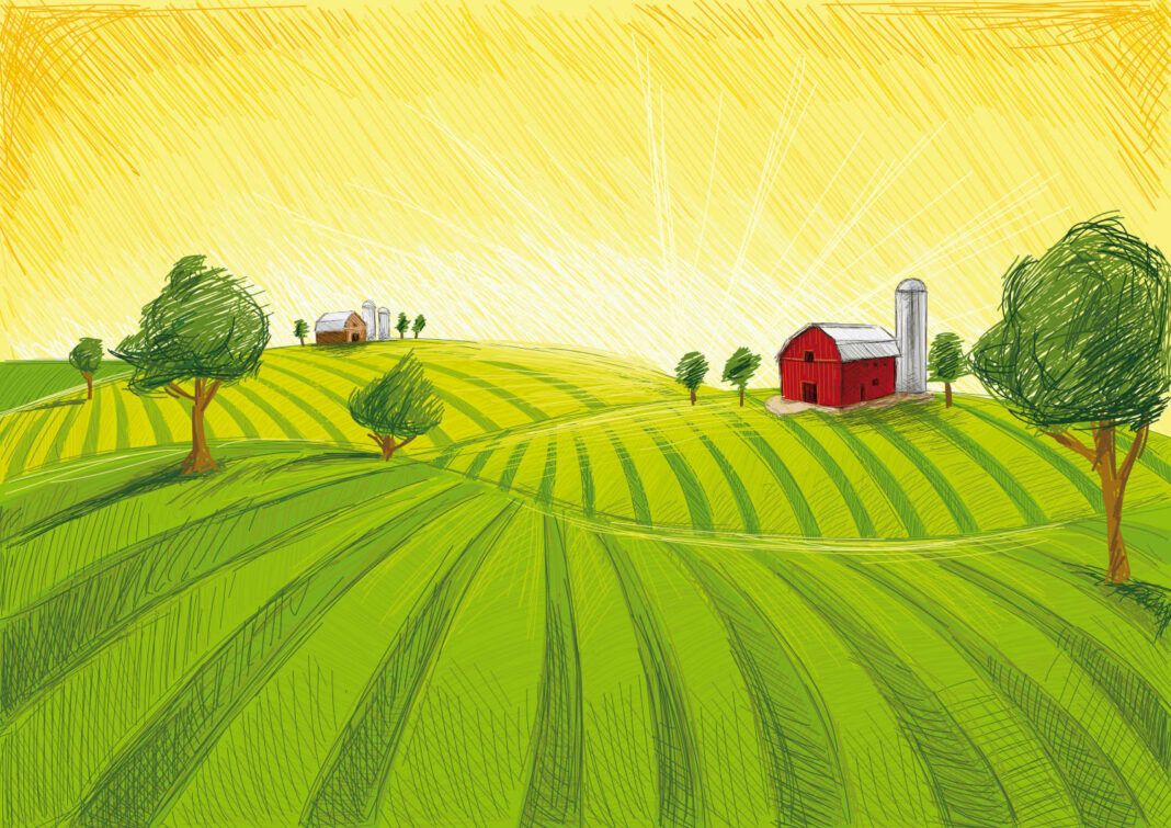 Farm illustration