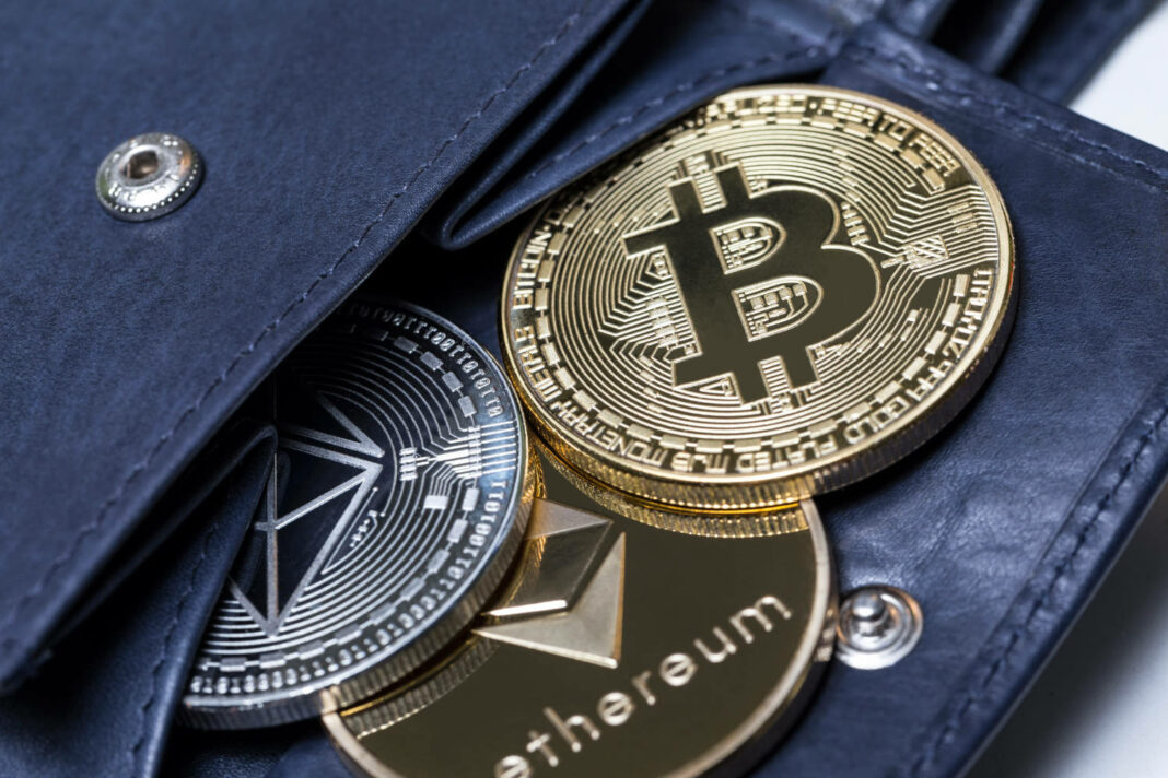 Wallet with cryptocurrency coins