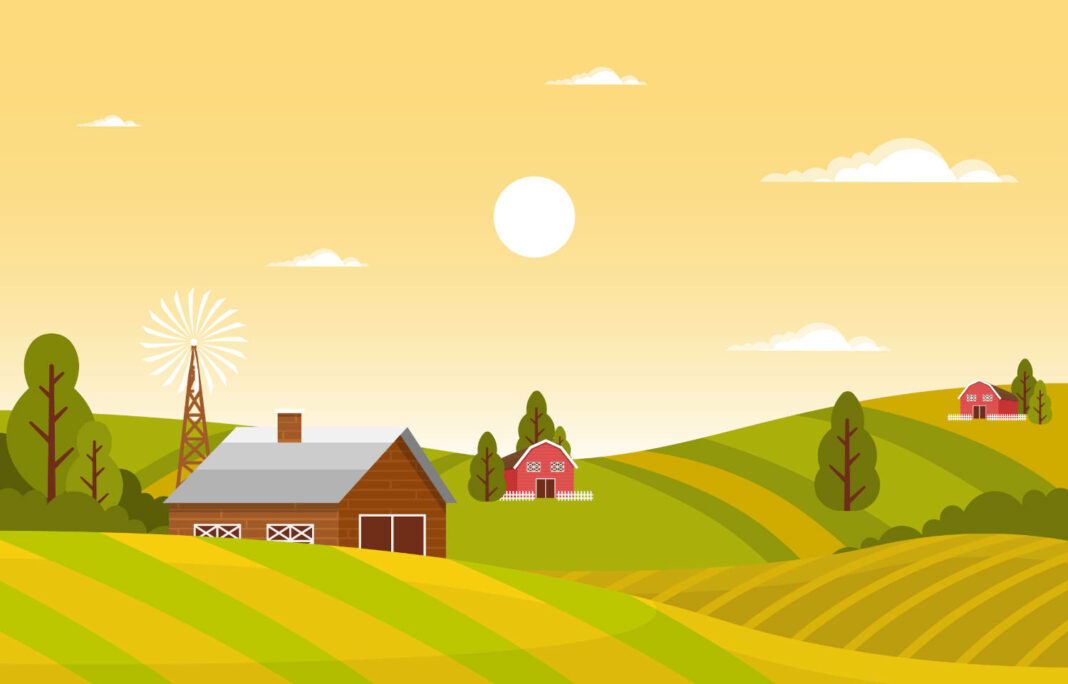 Farm illustration