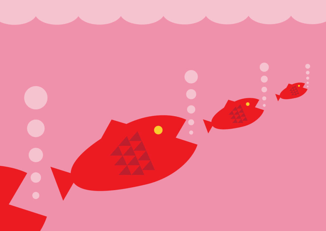 Big fish eating small fish