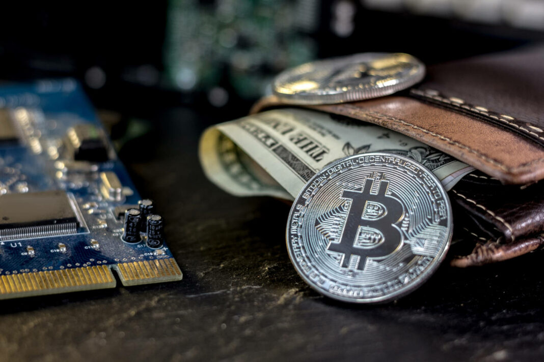 Crypto coins in wallet